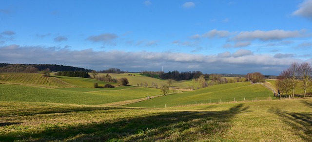 Věřitel, který Vám vyjde vstříc